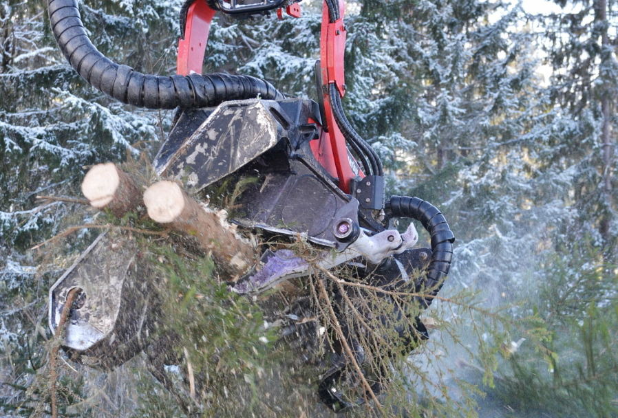 DUO: Maskinfører Kristoffer kvister og kapper to trær med brystdimensjon på 12-13 cm samtidig.