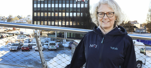 Kirsti Wensaas Anker-Nilssen er NGIs første FoU-sjef