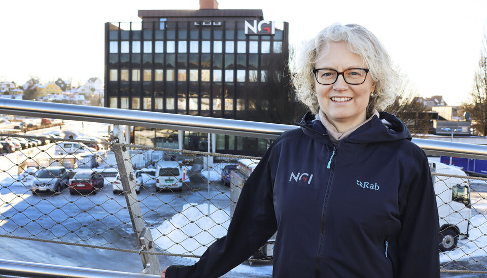 Kirsti Wensaas Anker-Nilssen, ny FoU-sjef i NGI.