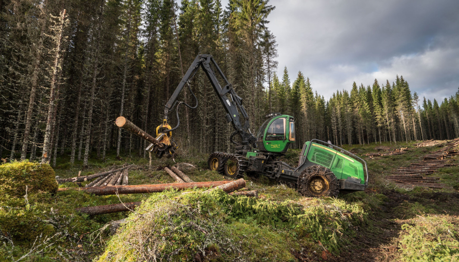 Stort skogoppdrag på anbud