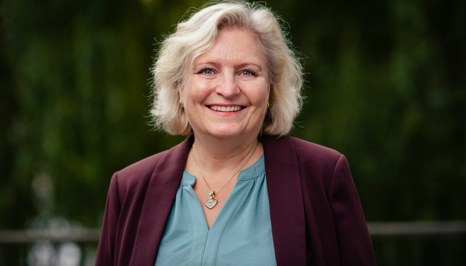 Generalsekretær i Norsk Bergindustri, Anita Helene Hall.