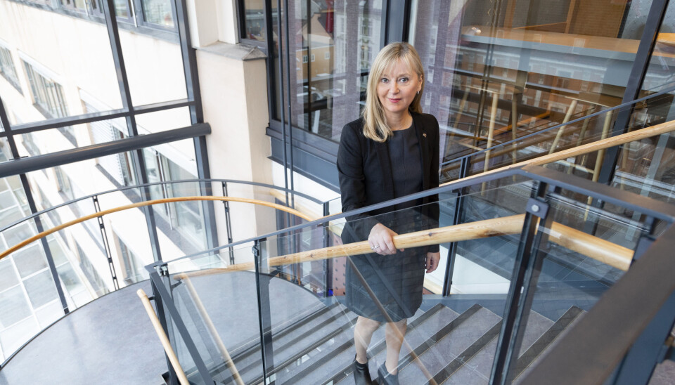 FOR ET GODT ARBEIDSLIV: - For å avgjøre hvilke områder vi særlig skal rette innsatsen vår mot, ser vi på hvilke arbeidstakergrupper som har størst risiko for å bli utsatt for uforsvarlige arbeidsforhold eller arbeidsrelatert sykdom og skade. I tillegg følger vi med på aktører som bidrar til useriøsitet og arbeidslivskriminalitet, sier direktør Trude Vollheim i Arbeidstilsynet.