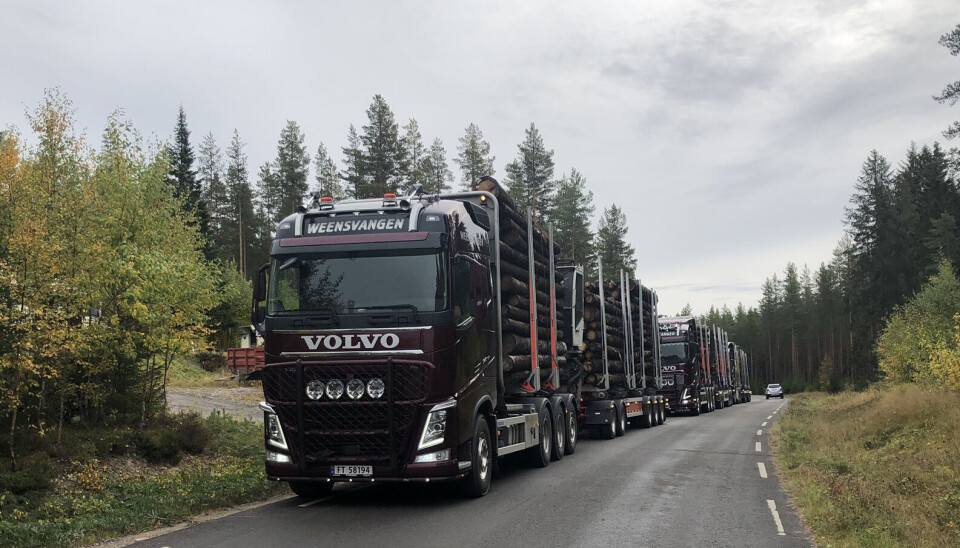 TEST: Testen skal gi SVV faglig grunnlag for anbefaling om deler av veinettet kan åpnes for inntil 74 tonn tømmervogntog.