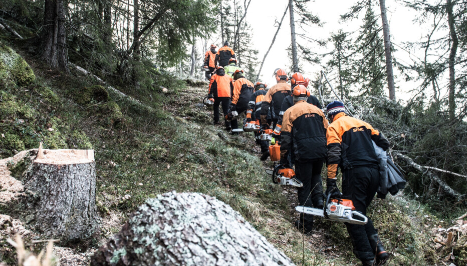 Hogst AS hjelper tidligere straffedømte som vil endre livet sitt ved å tilby dem opplæring og fast arbeid som skogsarbeidere. Nå får de muligheten til å ta fagbrev.