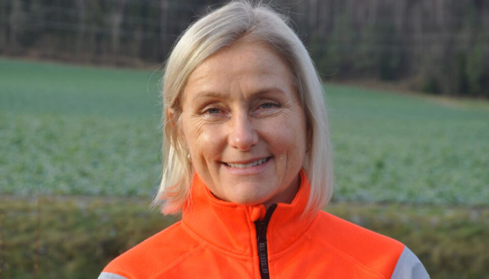 Prosjektleder Anne-Grethe Nordahl i Statens vegvesen mener det er mulig å spare flere hundre millioner ved bygging av nytt Vinterbrokryss, i forhold til de opprinnelige planene.