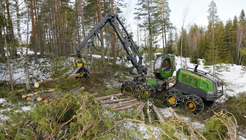 REKORD: Aktiviteten i skogen er stor, og det ble satt hogstrekord i årets 1. kvartal. Her er en John Deere-hogger fra Hefre Skogsdrift på Notodden i full sving. Arkivfoto: Klaus Eriksen