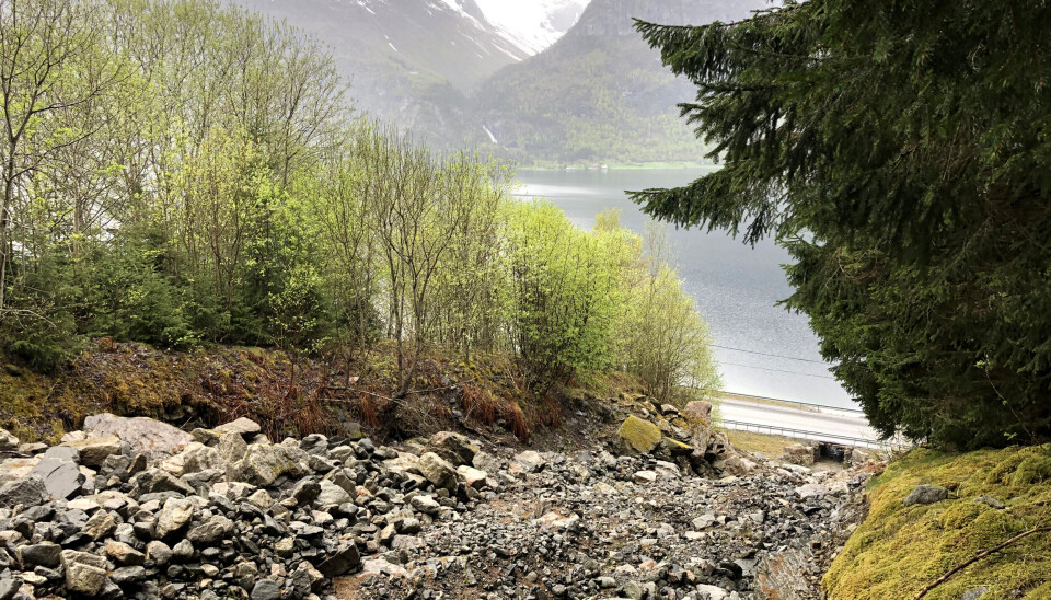 Her er området Statens vegvesen nå skal sikre bedre mot skred langs riksvei 15 i Stryn.