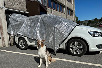 Genial løsning for deg med dyr i bil