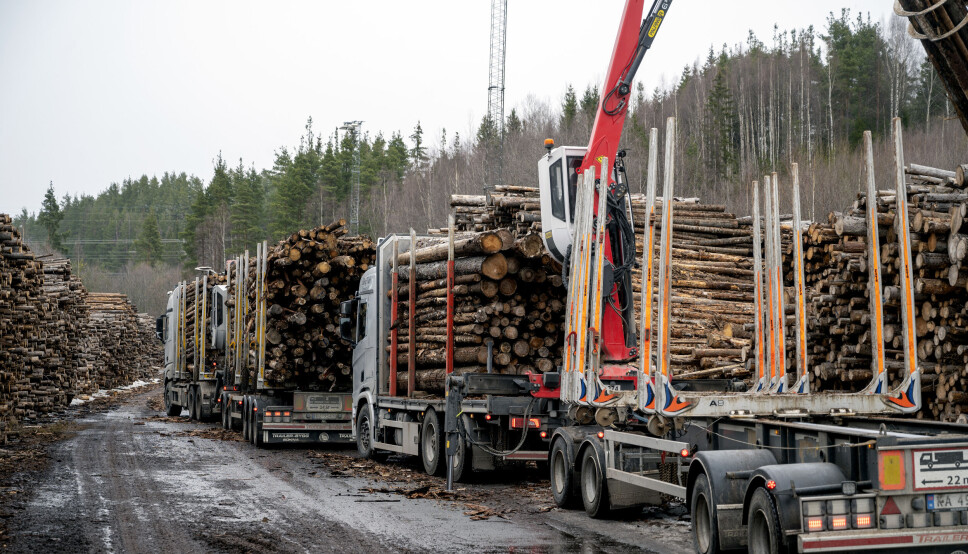 DRIVSTOFF: Økte drivstoffpriser og null hjelp fra regjeringen, er trolig en av årsakene til at flere bedrifter går over ende. Illustrasjonsfoto.