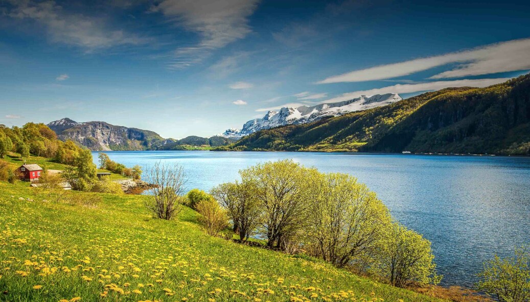 Naturvernforbundet og Natur og Ungdom saksøker staten for å tillate dumping av opptil 250 millioner tonn gruveavfall i Førdefjorden. Naturvernforbundet og Natur og Ungdom saksøker staten for å tillate dumping av opptil 250 millioner tonn gruveavfall i Førdefjorden.