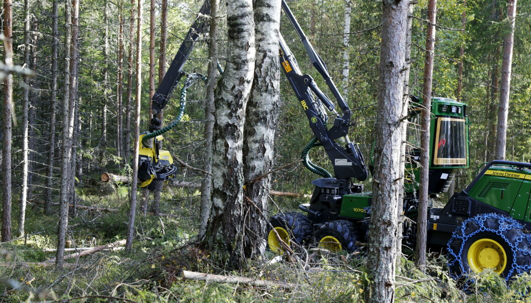 FULL FRRES: Tynningsaggregatet H212 fra John Deere Forestry i aktivitet i skogen på Hurdagene. Her montert på hogstmaskinen JD1070G. FULL FRRES: Tynningsaggregatet H212 fra John Deere Forestry i aktivitet i skogen på Hurdagene. Her montert på hogstmaskinen JD1070G.