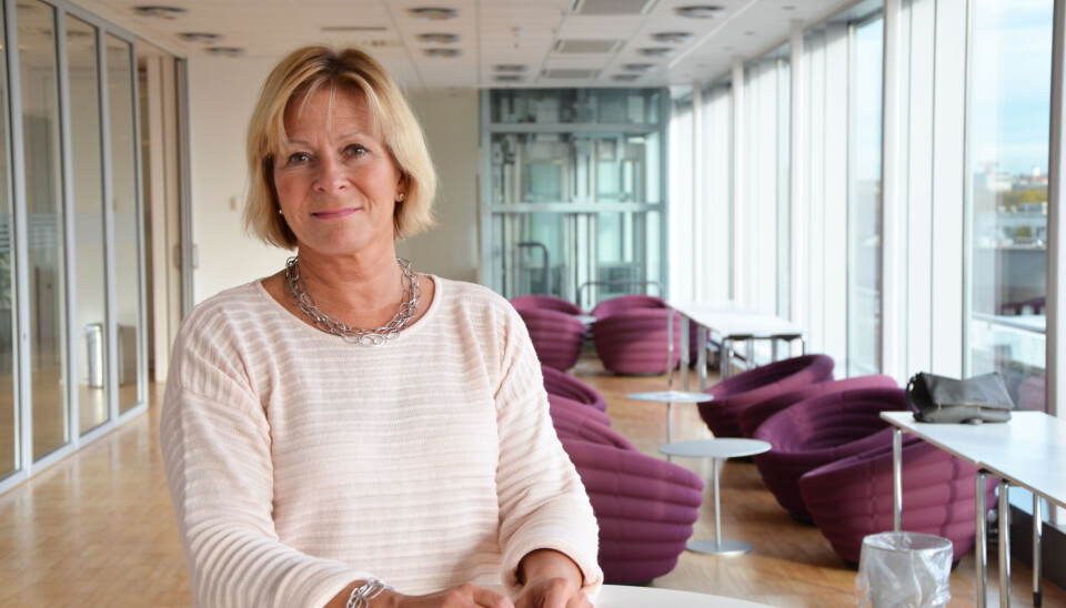 Aslaug Koksvik, direktør for Virke byggevare. Aslaug Koksvik, direktør for Virke byggevare.