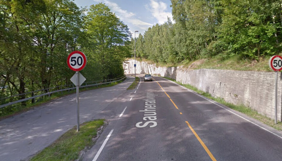 I dette området av fylkesvei 360 i Notodden ble avlivingen foretatt. Hendelsen omtales som skjedd på Tinnegrendveien. Det står Sauheradveien på Google-bildet fordi det er en overgang mellom veinavnene i dette området. Foto: Google Street View