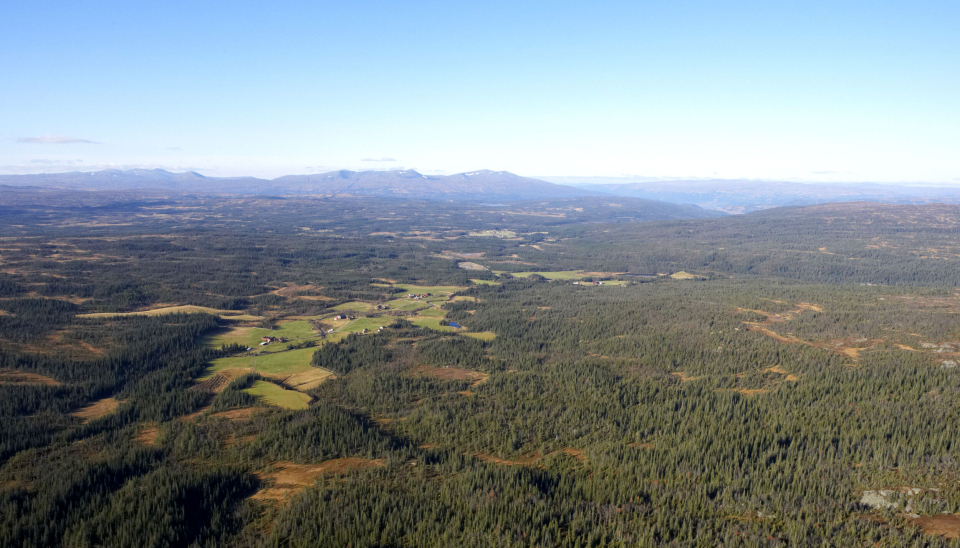 Store områder sør i Meråker med Fonnfjellet og Skarvene i bakgrunnen tilhører Meraker Brug.