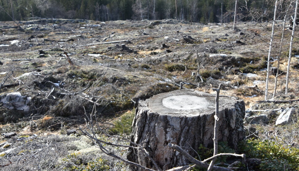 - Lovløse tilstander i norske skoger