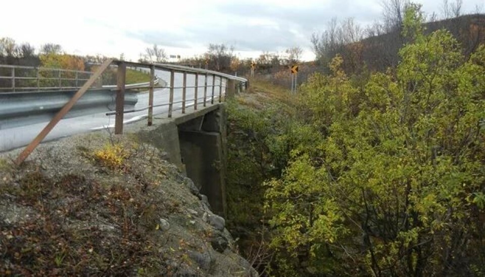 Gamle Vuolmmašjohka bru på E6 i Porsanger skal erstattes. Gamle Vuolmmašjohka bru på E6 i Porsanger skal erstattes.