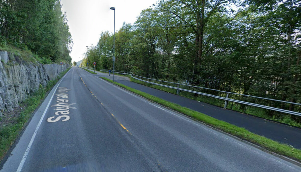 I dette området av fylkesvei 360 i Notodden ble avlivingen foretatt. Hendelsen omtales som skjedd på Tinnegrendveien. Det står Sauheradveien på Google-bildet fordi det er en overgang mellom veinavnene i dette området.