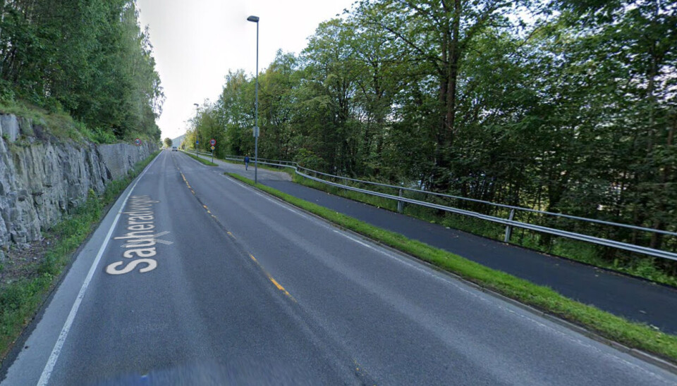 I dette området av fylkesvei 360 i Notodden ble avlivingen foretatt. Hendelsen omtales som skjedd på Tinnegrendveien. Det står Sauheradveien på Google-bildet fordi det er en overgang mellom veinavnene i dette området. I dette området av fylkesvei 360 i Notodden ble avlivingen foretatt. Hendelsen omtales som skjedd på Tinnegrendveien. Det står Sauheradveien på Google-bildet fordi det er en overgang mellom veinavnene i dette området.