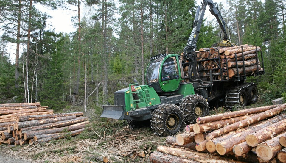 Skogsnolia er en messe med sterk fokus på praktisk skogdrift. Bildet er fra et demofelt på en tidligere utgave av messa.
