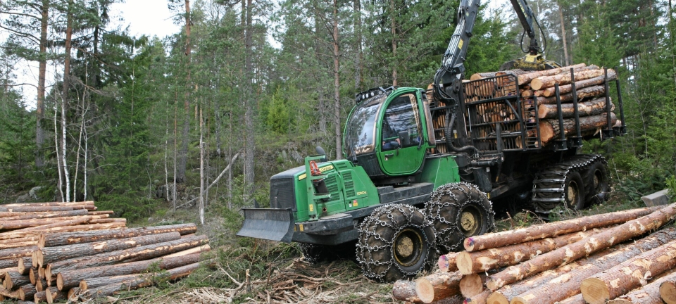 Skogmesse får med seg to partnere