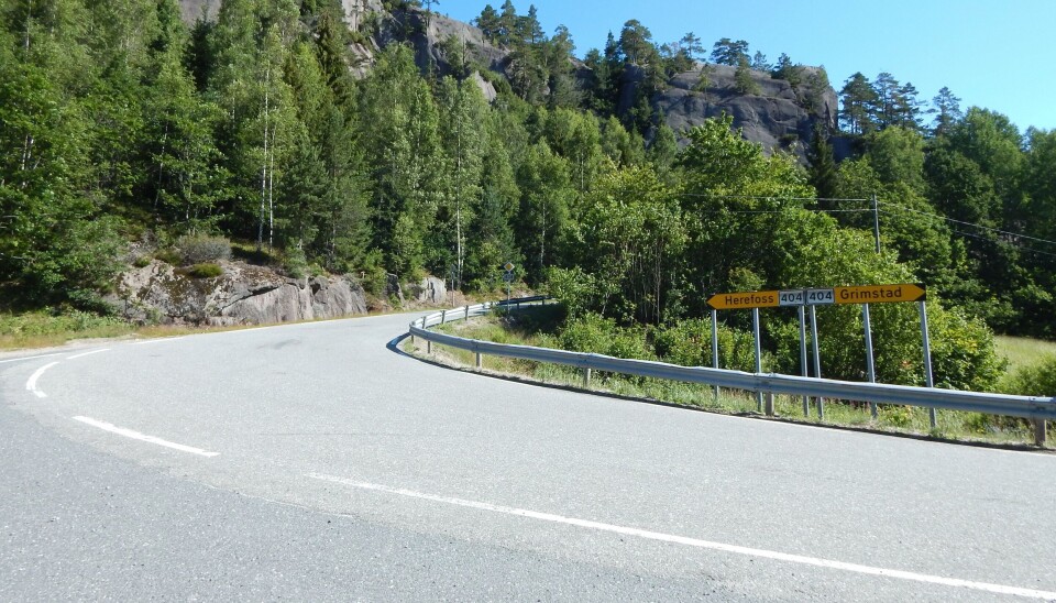 Dynamitten ble funnet langs fylkesvei 404 som går mellom Herefoss i Birkenes og Frivoll i Grimstad. Illustrasjonsbilde av fylkesveien - det er ikke opplyst nøyaktig hvor dynamitten ble funnet.