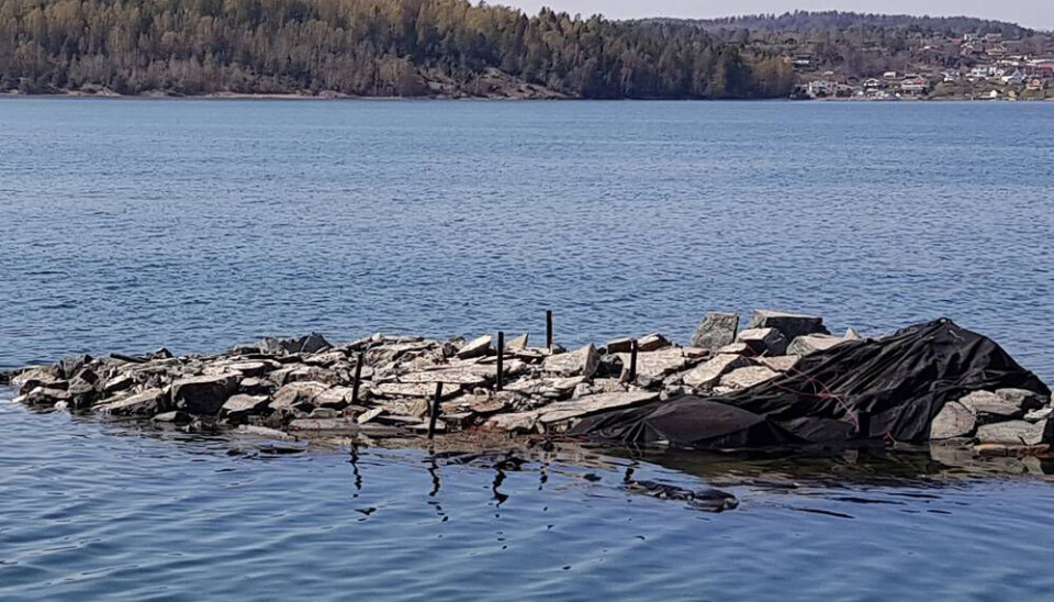 ULOVLIG SPRENGNING: En hytteeier ville sprenge vekk dette skjæret i 2019. Skjæret var til hinder for at litt større båter kunne komme inn til brygga like ved. Det var ikke gitt tillatelse til grunnarbeidene. Saken endte med at hytteeieren måtte betale 75.000 kroner i bot, mens firmaet som sprengte måtte betale 180.000. Etter sprengingen ble sprengsteinen liggende. Den viser seg å ha gode skjulesteder for fisk og andre arter.
