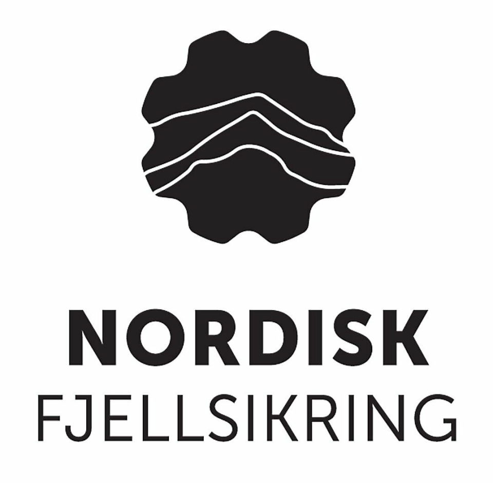 LOGO: Det nye selskapet.