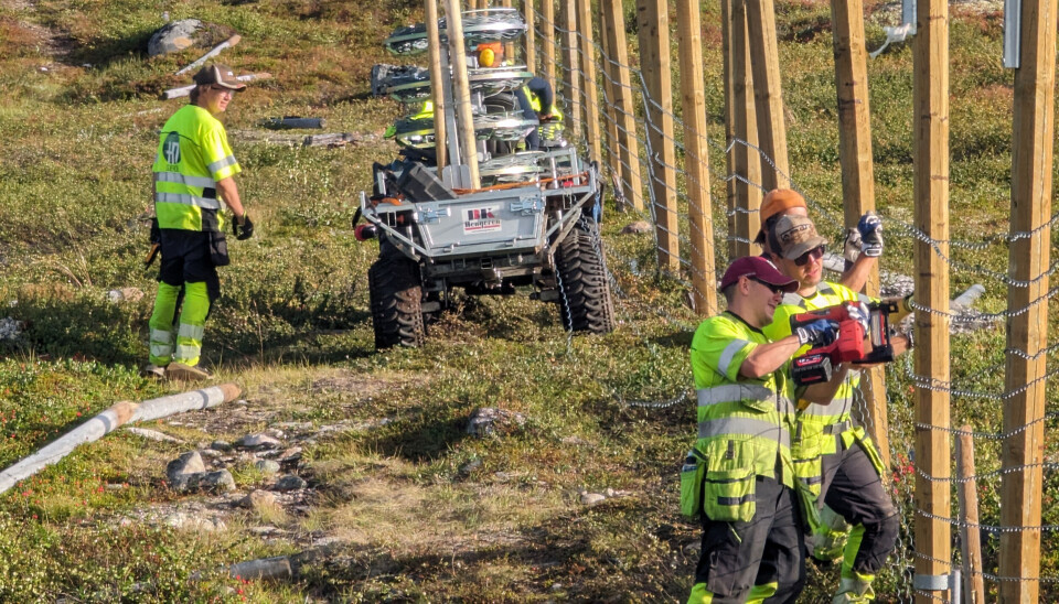 STENGSEL: Montering av nytt reingjerde langs den norsk-russiske grensen.