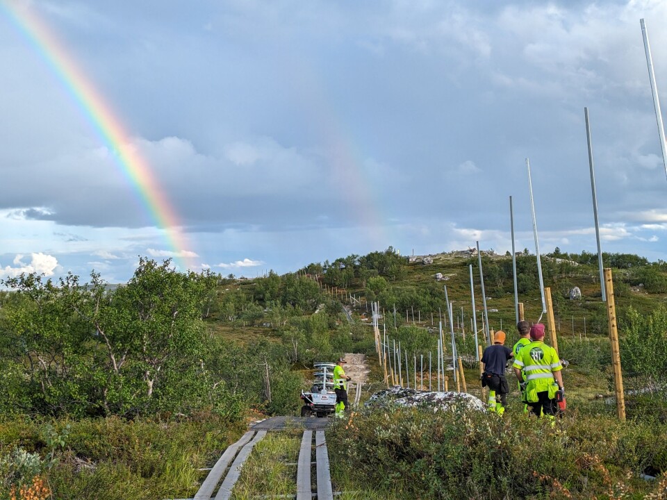 GRENSE: Gjerdebyggerne må hele tiden holde seg på den norske siden av gjerdet de setter opp.