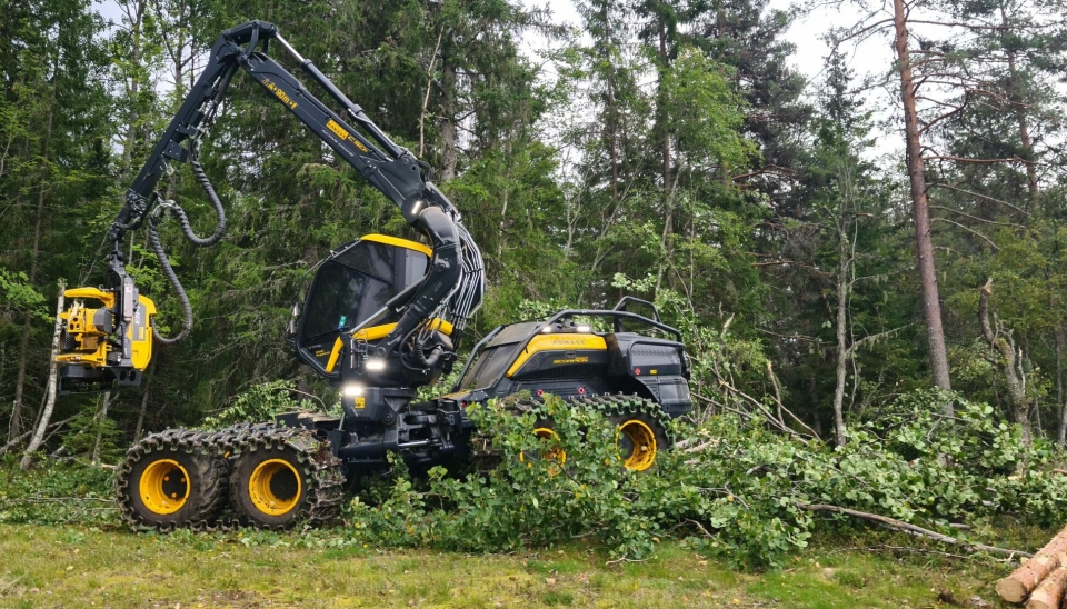FØRSTE: Bottolfs Skogsdrifts Ponsse Scorpion Giant tar sine første belteskritt i en Flesberg-skog. (Foto: Cato Rudberg).