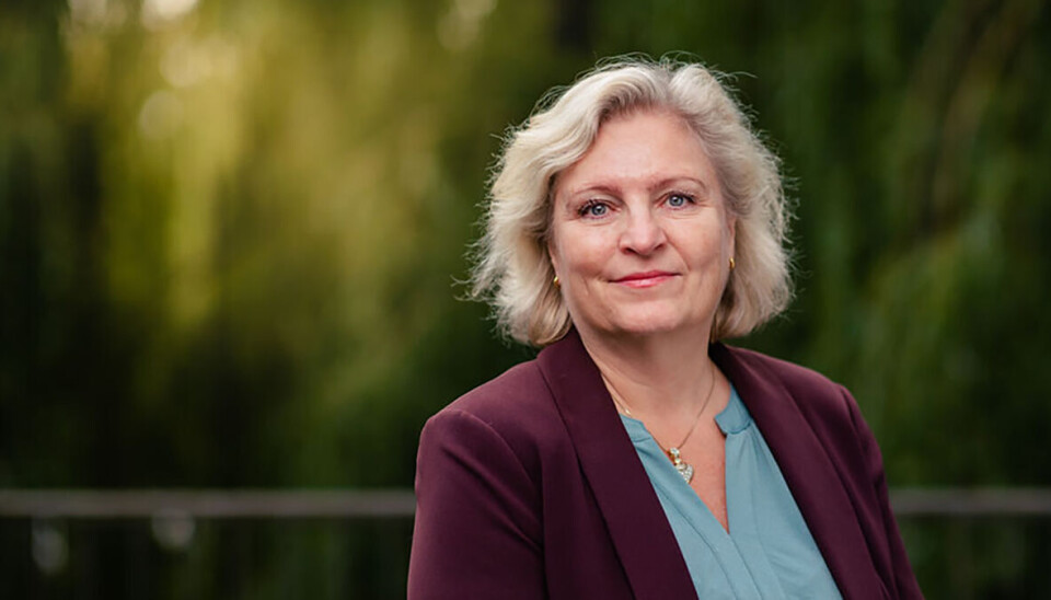 Generalsekretær Anita Helene Hall i Norsk Bergindustri feller en knusende dom over regjeringens statsbudsjett-innstilling