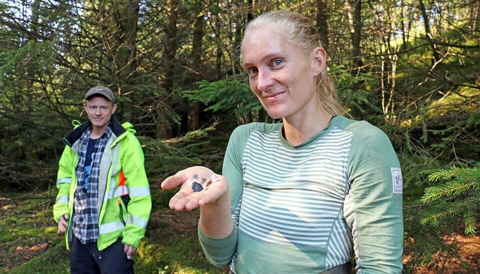 10 000 ÅR GAMLE SPOR: Arkeologene Camilla Rustad og Øystein Skår med flintsteiner etter de første menneskene som bodde på Vestlandet for tusenvis av år siden.