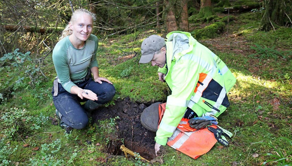 HULL: Arkeolog Øystein Skår har ledet registreringene i Bjørnafjordern, Tysnes og Stord. I dette 70 centimeter dype hullet på Lepsøy fant han og Camilla Rustad spor etter menneskene som levde på Vestlandet for 10.000 år siden.
