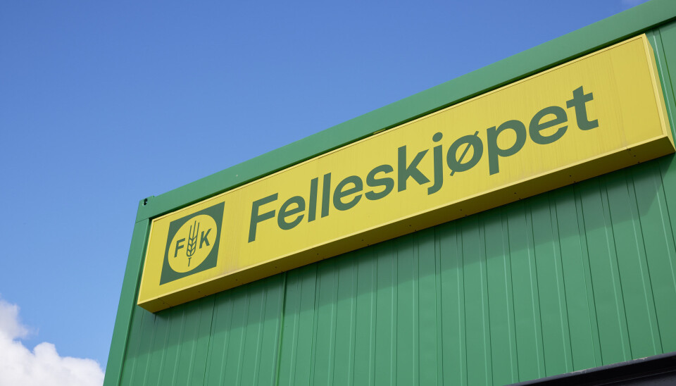 Felleskjøpet permitterer