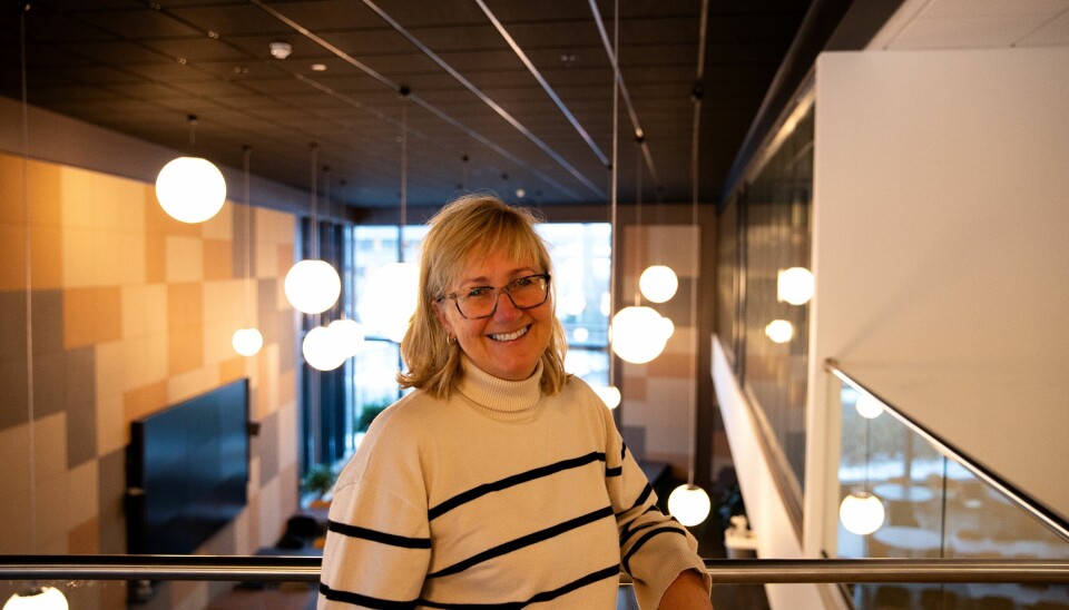 NY JOBB: – Jeg har hatt gleden av å jobbe tett med COWI på prosjekter i Bane NOR og har opplevd på kroppen både hva kundefokus betyr og det store trykket på bærekraft, sier Stine Undrum.
