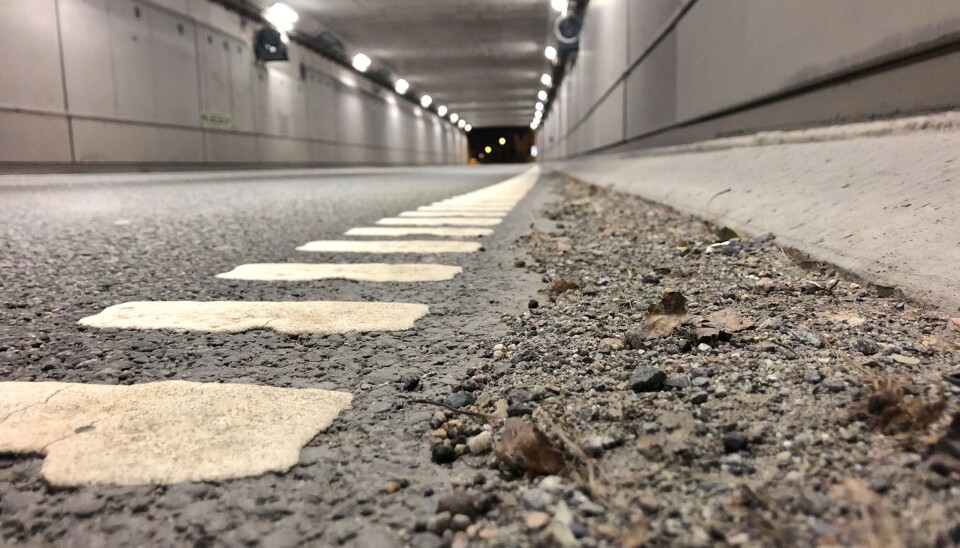 KJEMIKALIER: Miljøskadelige kjemikalier fra bildekk finnes igjen i naturen langs høyt trafikkerte veier i Oslo. Bilde fra Smedstadtunnelen.