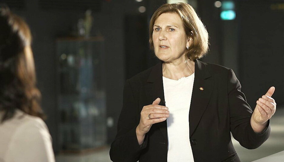 FÅR KRITIKK: - Vi har gjort feil. Det skal ikke skje igjen, sier vegdirektør Ingrid Dahl Hovland om funn av feilvurderinger om Tretten bru i en ny uavhengig gjennomgang.