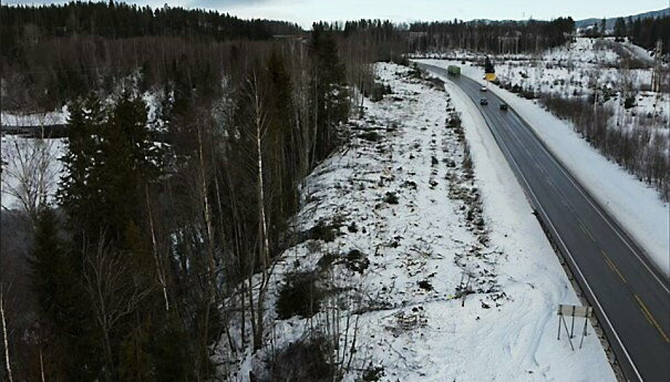 : TETT PÅ: E16 passerer nær skredområdet. Det er fjernet mye vegetasjon for å forberede arbeidene. (Foto: Ringerike kommune)