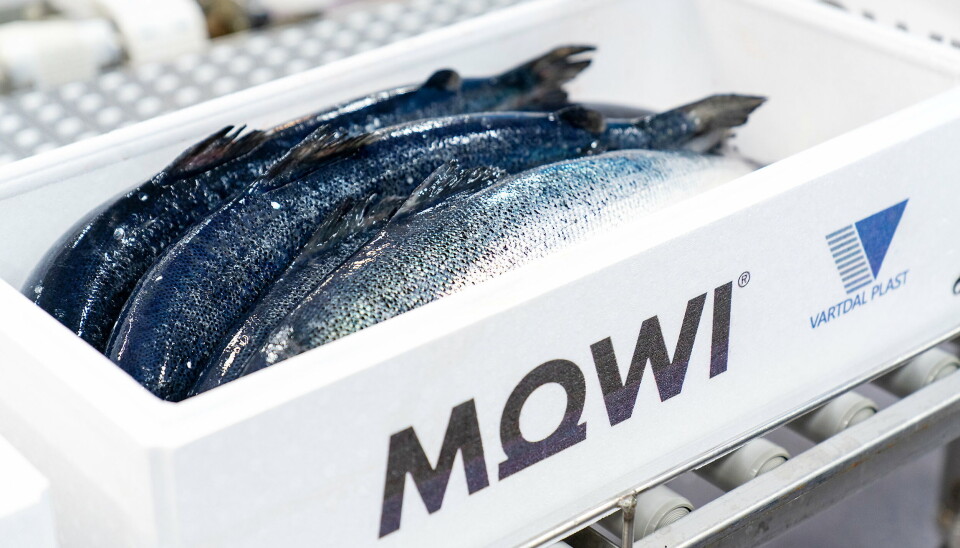 LØSNINGEN: De nye fiskekassene fra Mowi og Vartdal plast er helt tette, noe som skal løse problemet med avrenning av smeltevann fra Fisketransport.