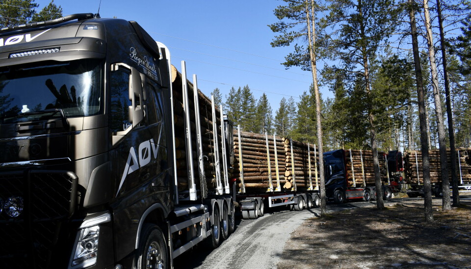 TØMMERTRANSPORT: Statskog avvirket 276 000 m³ tømmer i 2023. Dette er en økning på 26 000 m³ fra 2022.