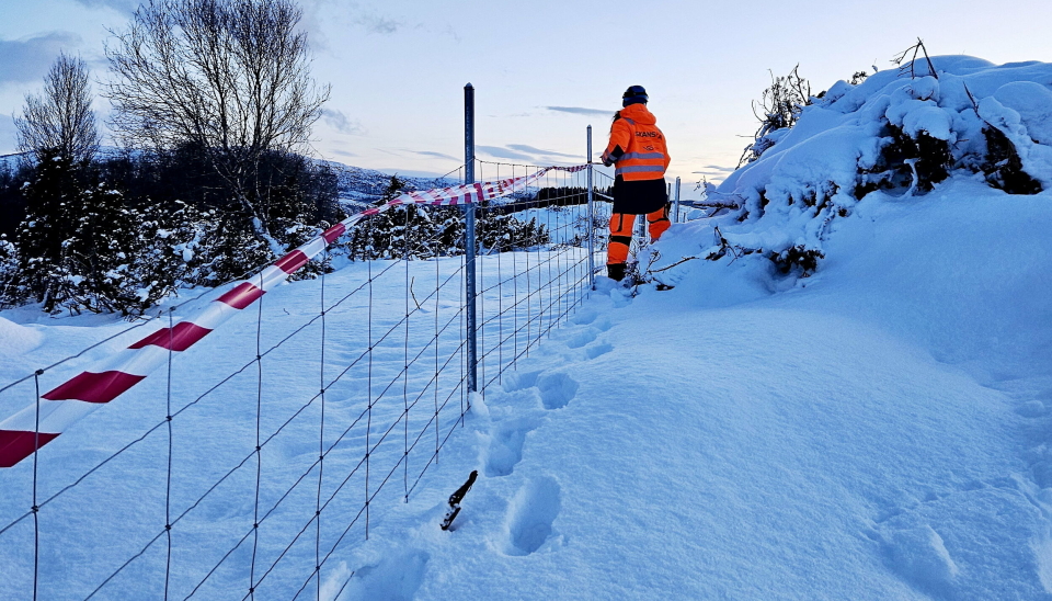 RESIRKULERBARE: HT Gjerde fikk i oppdrag å lage et 7,5 km langt anleggsgjerde og å finne en erstatning for plastgjerder.
