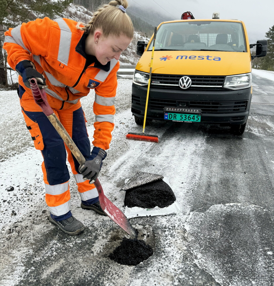 VEIMESTEREN
