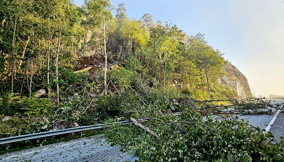 SKRED OVER E18: Det har i natt gått et skred ved Lundevann like øst for Tvedestrand. Jord, stein og trær sperrer nå begge kjørefeltene på E18